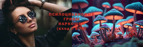 прущие крисы Кодинск