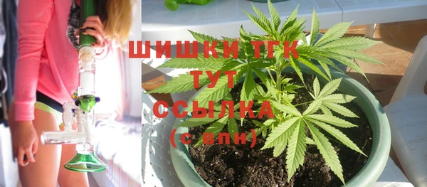 дмт Козловка